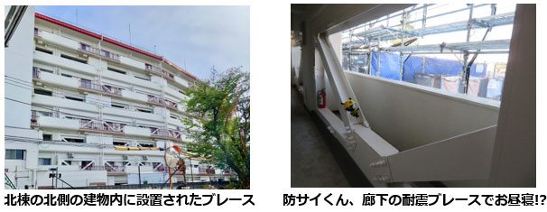 北棟の北側の建物内に設置されたブレース 防サイくん、廊下の耐震ブレースでお昼寝!?