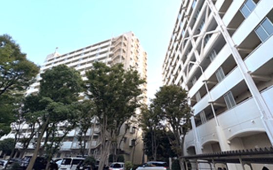 写真　清新プラザマンションの外観 ３号棟 西棟（左）と４号棟（右）