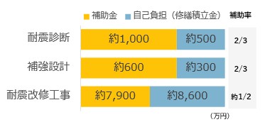 図　補助金と自己負担の費用負担割合